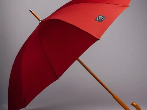 umbrella