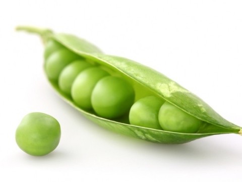 pea