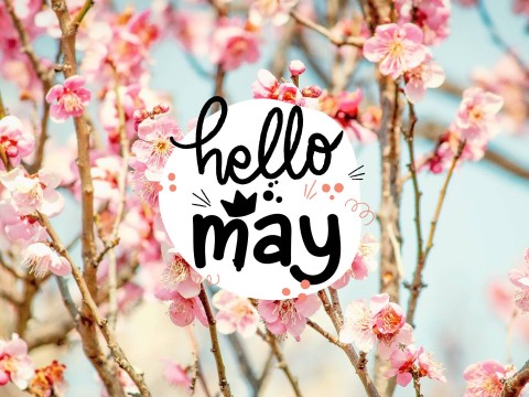 may