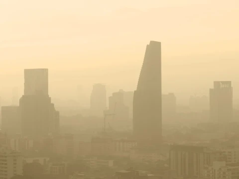 smog