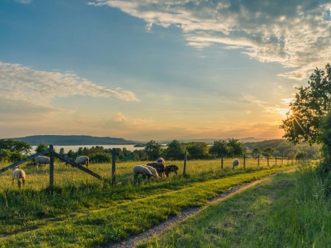 countryside