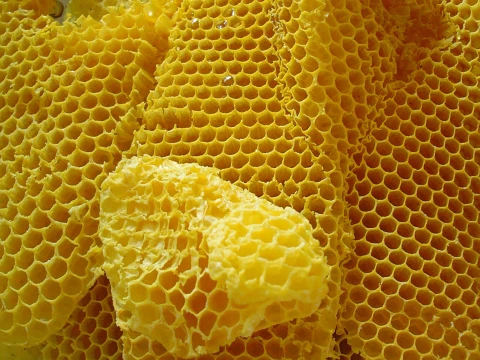 beeswax