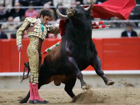 matador