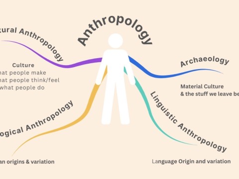 anthropological