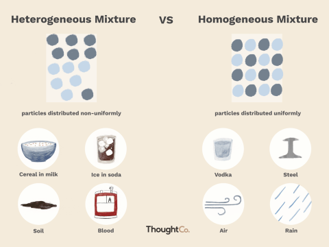 homogeneity