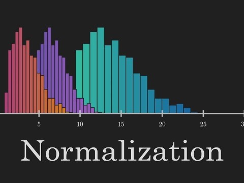 normalization