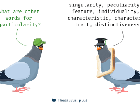 particularity