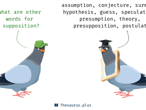 supposition