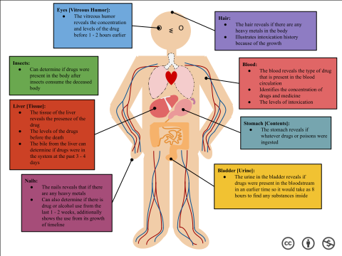 toxicology