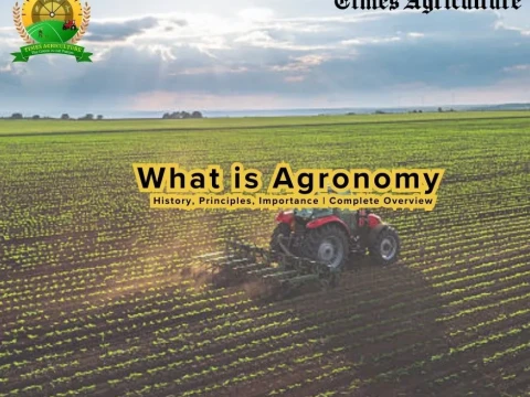 agronomy