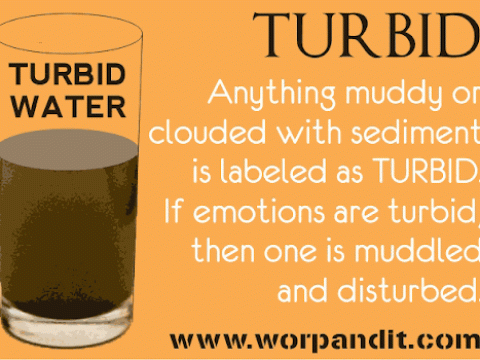 turbid