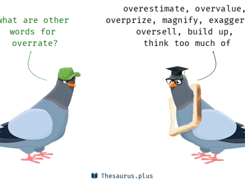 overrate