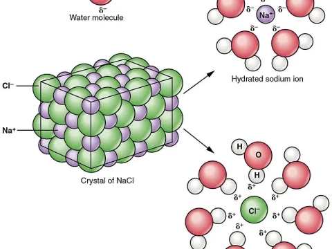 solvation