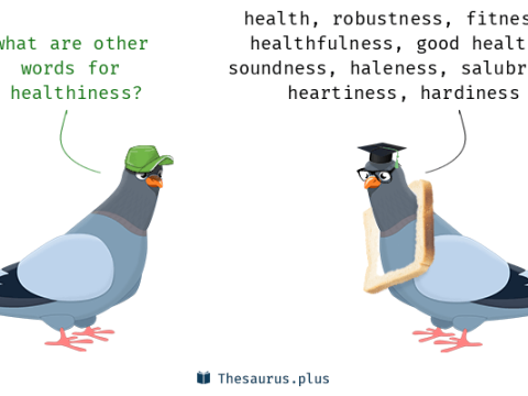 healthiness