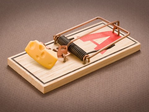 mousetrap