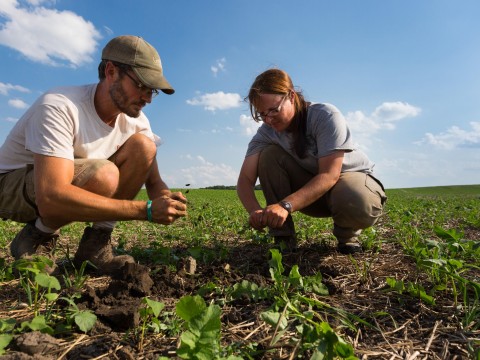 agriculturist