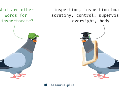 inspectorate