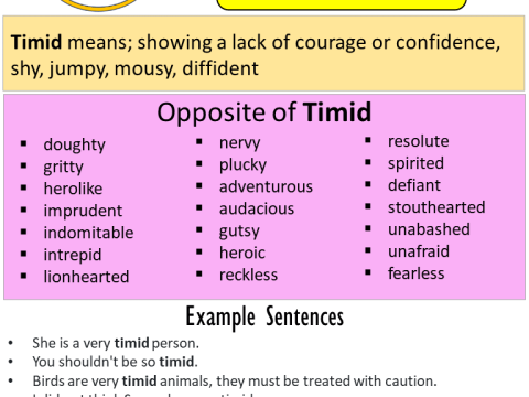 timidity