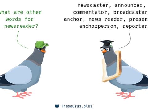 newsreader