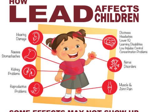 lead