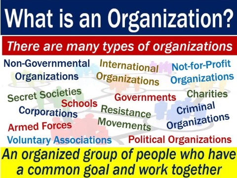 organization