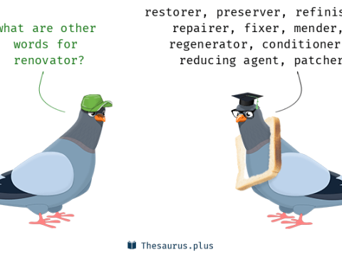 renovator