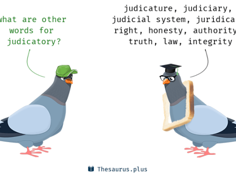 judicatory