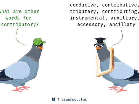 contributory