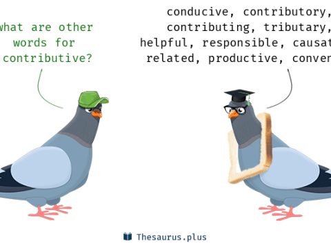 contributive