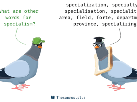 specialism