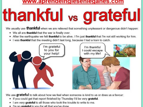 thankfulness