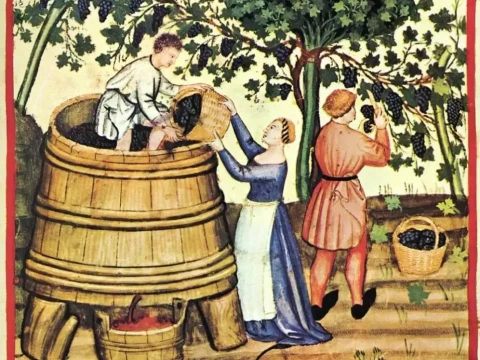 winepress