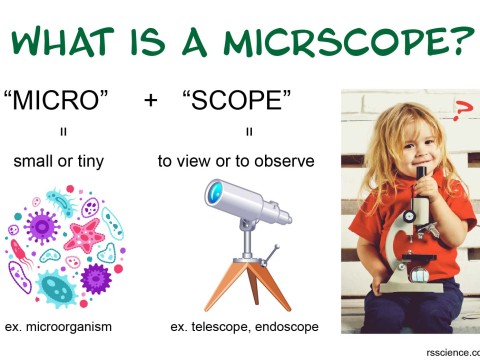 microscopy