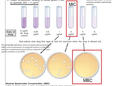 bactericide