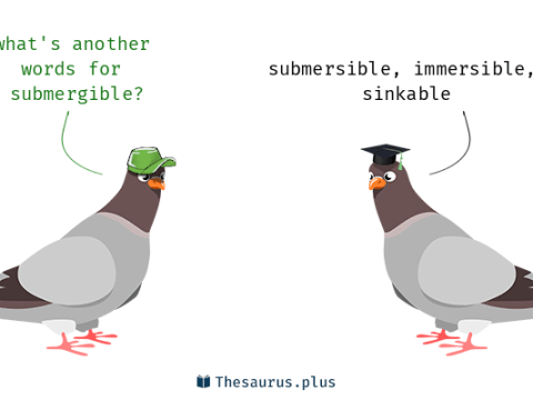 submergible