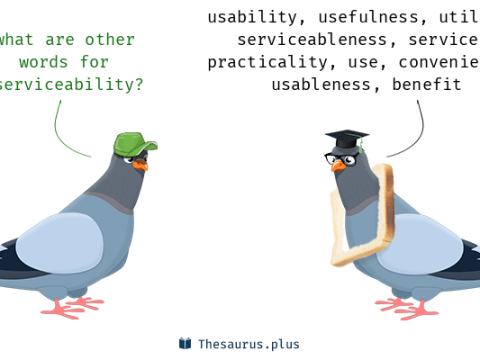 serviceability