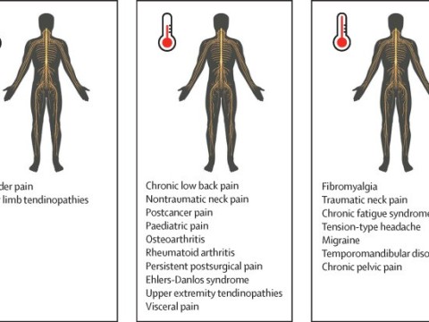 sensitization