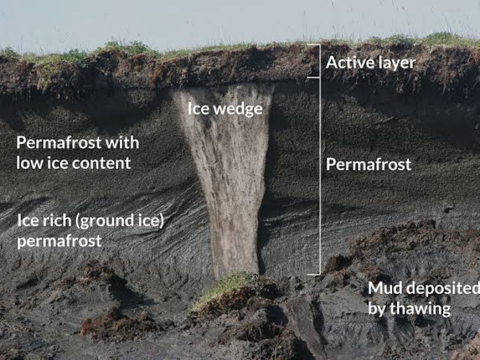 permafrost