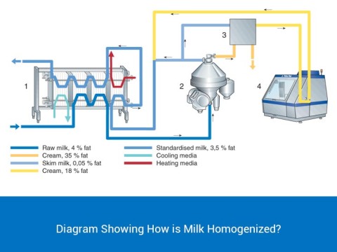 homogenization