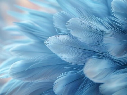 featheriness