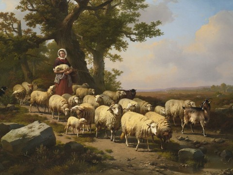 shepherdess