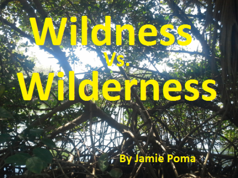 wildness