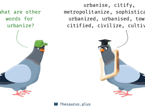 urbanize