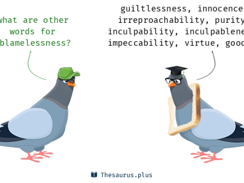 blamelessness