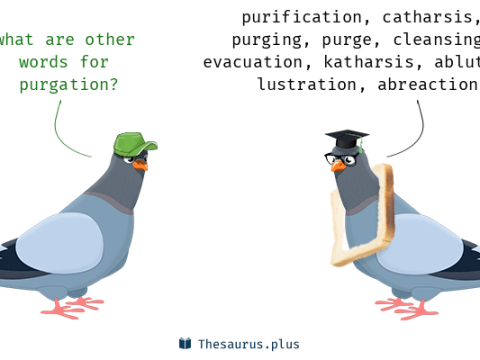 purgation