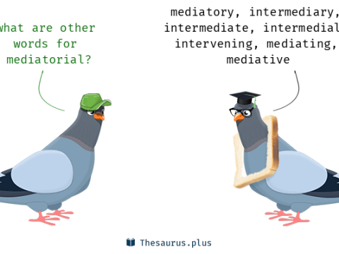 mediatorial