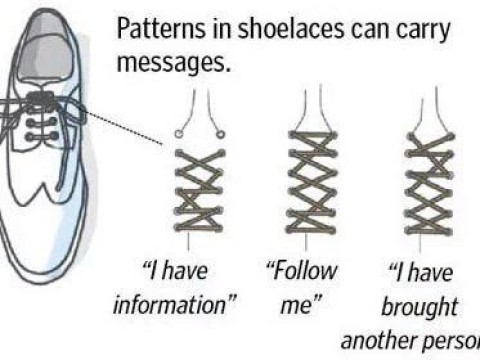 shoelace