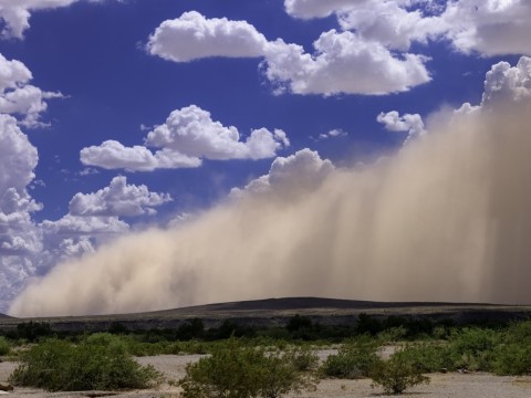 sandstorm