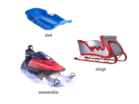 sled