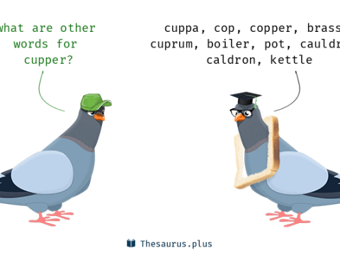 cupper